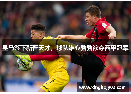 皇马签下新晋天才，球队雄心勃勃欲夺西甲冠军